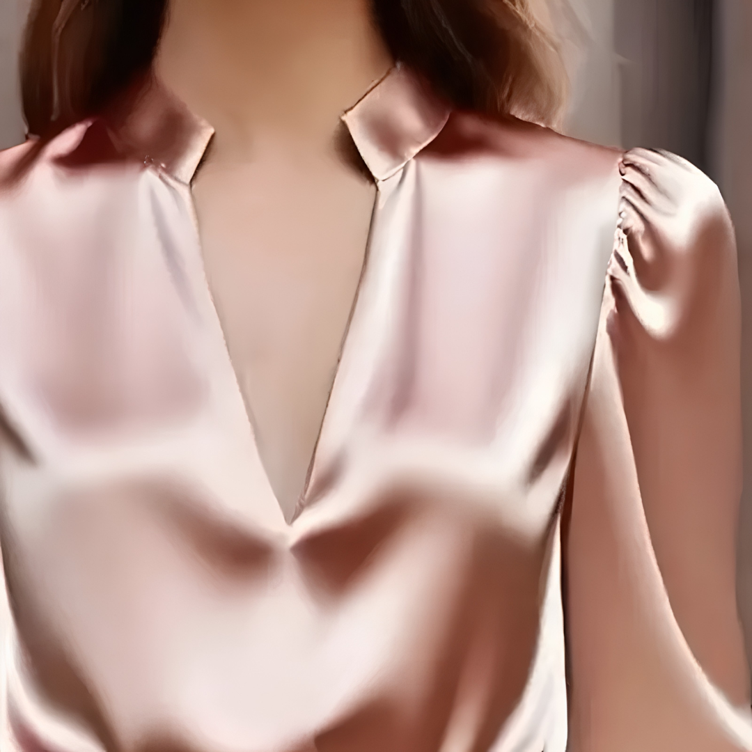 Women’s Long Sleeve Elegant V Neck Blouse