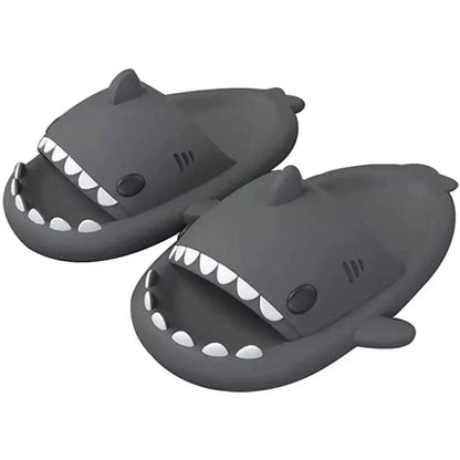 Shark Slides