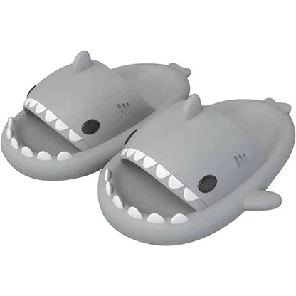 Shark Slides