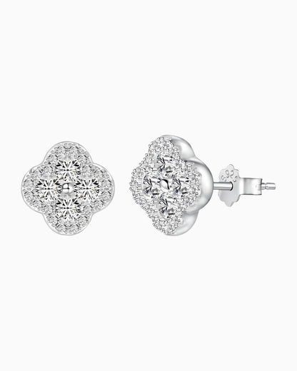 STUDS IN GLACÉ CLOVER.